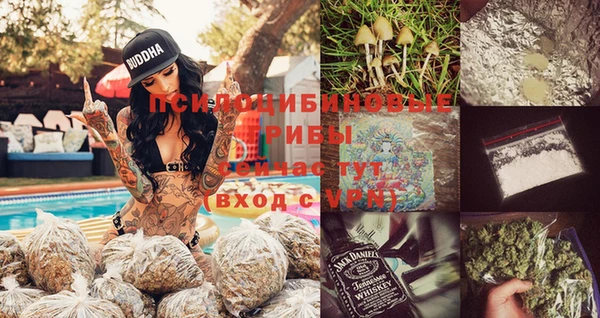 apvp Бугульма